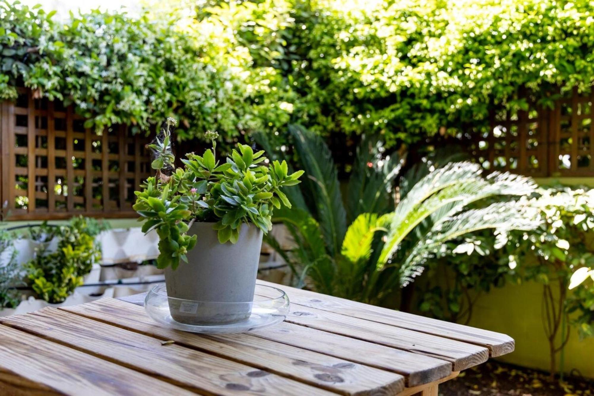 아테네 The Garden House At Alimos 아파트 외부 사진